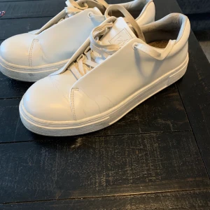 Eytys doja - Eytys doja , storlek 43. Finns även de lila snörena. Kan skickas 