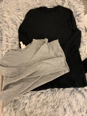 Basic tröjor - 2 basic tröjor, den svarta från lager 157 och den gråa från Hm, använt bara ett par gånger,inga hål Elr ngt. Båda säljs för 40kr. Den gråa tröjan är i storlek S o den svarta i storlek M(ops den svarta har lite marinblåaktivfärg i sig)❤️