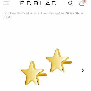 Edblad örhängen  - Säljer dessa superfina örhängen från Edblad säljer dem då jag har två! Örhängena är aldrig använda eller provade!💕fler frågor är det bara att kontakta