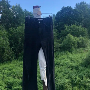 Levi’s ribcage wide leg jeans - Levi’s jeans i nyskick! Jättesnygg passform och färg, perfekta vardagsjeans! Säljes då de blivit för små för mig!