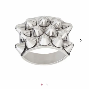 Edblad ring  - Fick den i april så nyskick! 300 ink frakt 