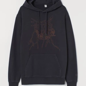 Post Malone hoodie - Säljer min Post Malone hoodie som inte går att få tag på längre! Bra skick och köpt på hm för 200, säljer för 100+ frakt. Skriv privat för mer bilder