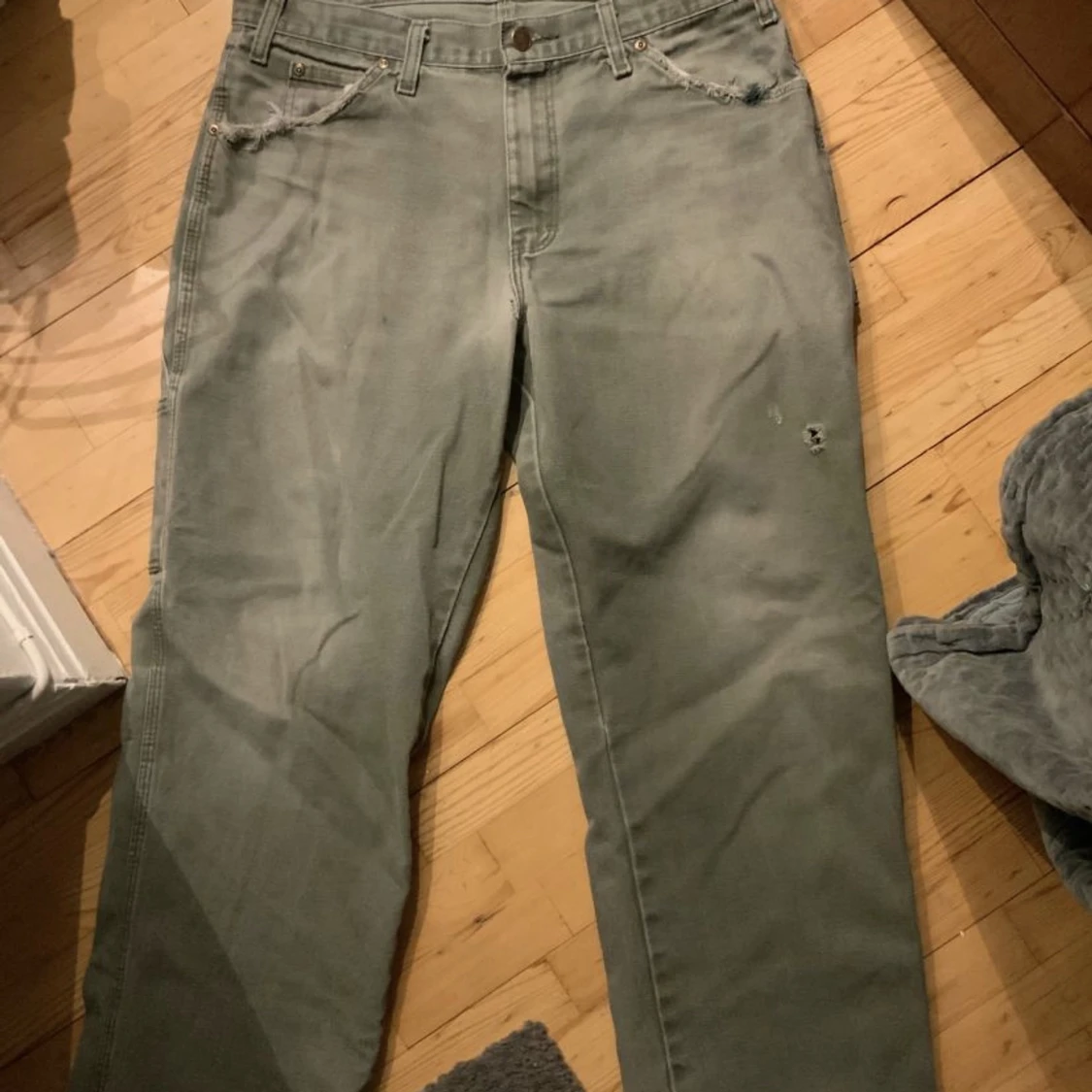 Dickies cargo pants