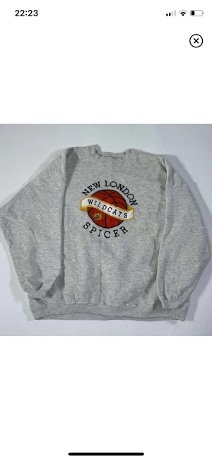 Grå vintage sweatshirt - Grå äkta vintage basket sweatshirt från USA. Märket är Hanes Heavyweight ✨