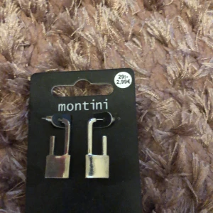 Örhängen  - Aldrig använt, fick i en mystery påse