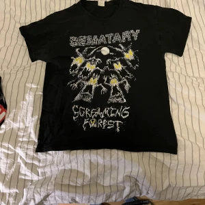 Screaming forest sematary  -   Sitter mer som  S än M