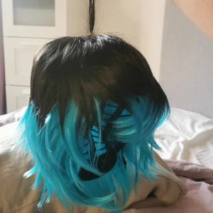 Peruk - Den är använd 5 gng och köptes för 100