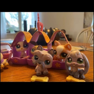 Littlest petshops  - Littlest petshop leksaker med lite tillbehör till dom. I rätt bra skick. Katt i hemmet. Kan mötas upp i Uddevalla om ej så står köparen för frakten. 
