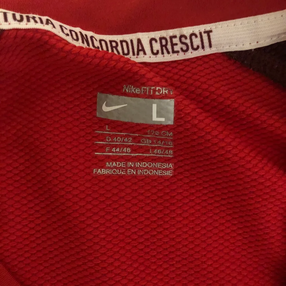 Nike Arsenal fotbolls/tränings  t shirt knappt använd bara legat i garderoben. T-shirts.