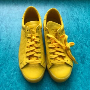  - Adidas sneakers, never been used! Super fresh and just like new. 