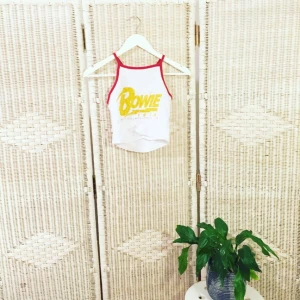  - Cool topp från FOREVER 21. Vit med röda kanter och ett FETT David Bowie tryck på framsidan. Använt en de i somras, helt perf till ett par höga byxor med en najs detalj som smycke eller hårband! 😜😽

FRI FRAKT 💌