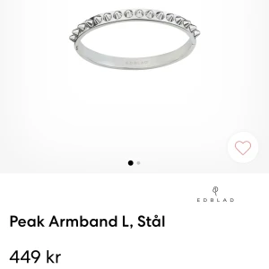 Metallarmband med nitar - Sjukt snyggt armband från Edblad. Helt nytt skick. Ordinarie pris är 449kr från Royal Design.