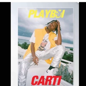 Poster - Säljer denna avballa poster som jag köpt här på plick! Skriv vid fler bilder! 85x120 cm                                   Köparen står för frakt