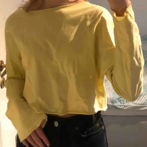 Sweatshirt - Kort tröja från zara. Färgen är som den är på bild 1 & 3. Ganska långa armar vilket är najs.  
