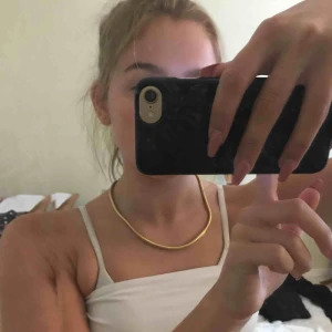  - Guldhalsband. Ni står för frakt.