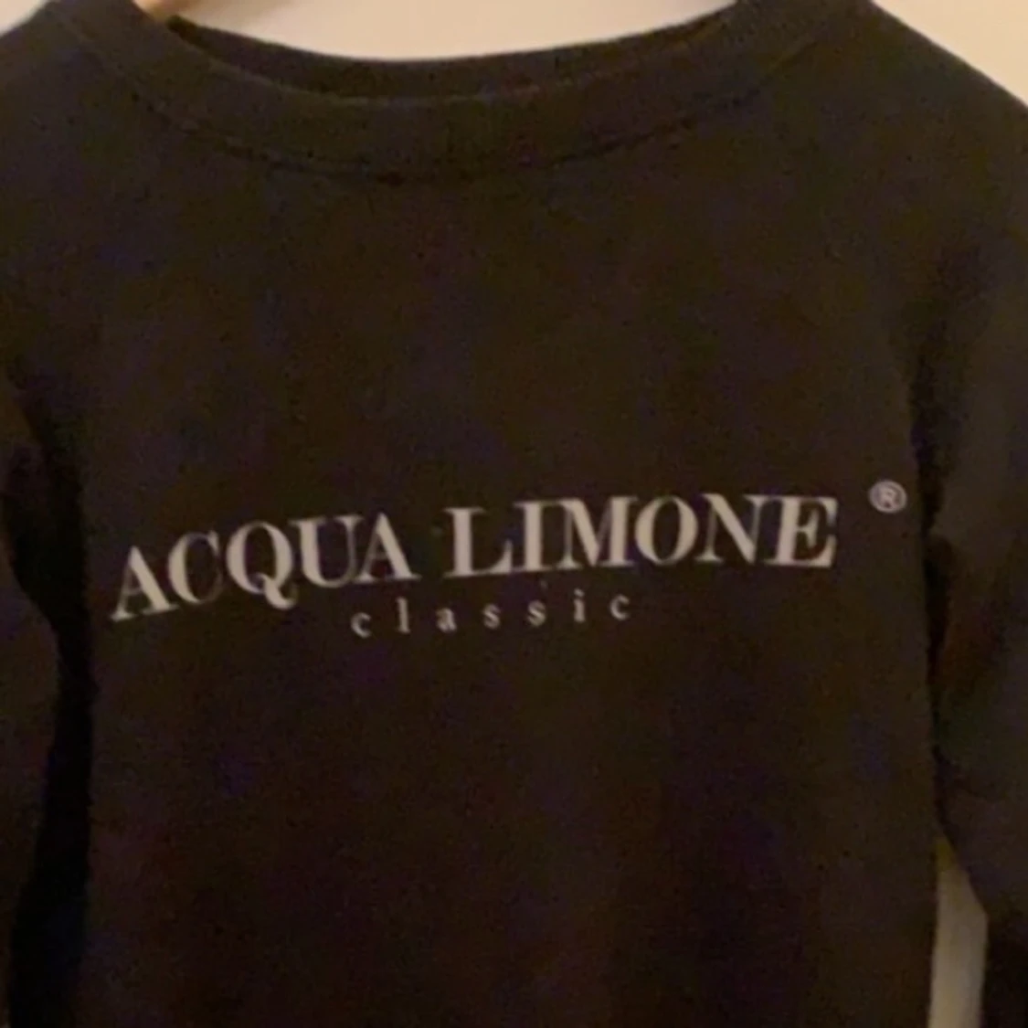 Acqua Limone sweatshirt  - 91