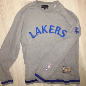 Oversized vintage Champion/Lakers sweatshirt. I bra skick. Pris: 400 