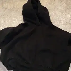 Hoodie från zara, använd fåtal gånger, inga fel