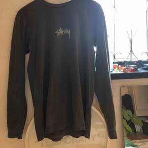 Long Sleeve T-shirt från Stussy, sparsamt använd. Färgen är mörkgrå lite melerad😁