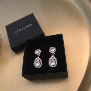  - Söta örhängen från Lily and rose🌸 (Ny pris 495kr) Använd ca 1-2 gånger och dom är nyligen rengjorda!  Frakten är inkluderad i priset och dom skickas i tillhörande ask! Bara att skriva om ni har några frågor eller funderingar💕
