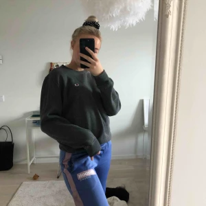  - Tröja från 90-talet med märket Champion. Bra skick. Frakt inräknat i priset!