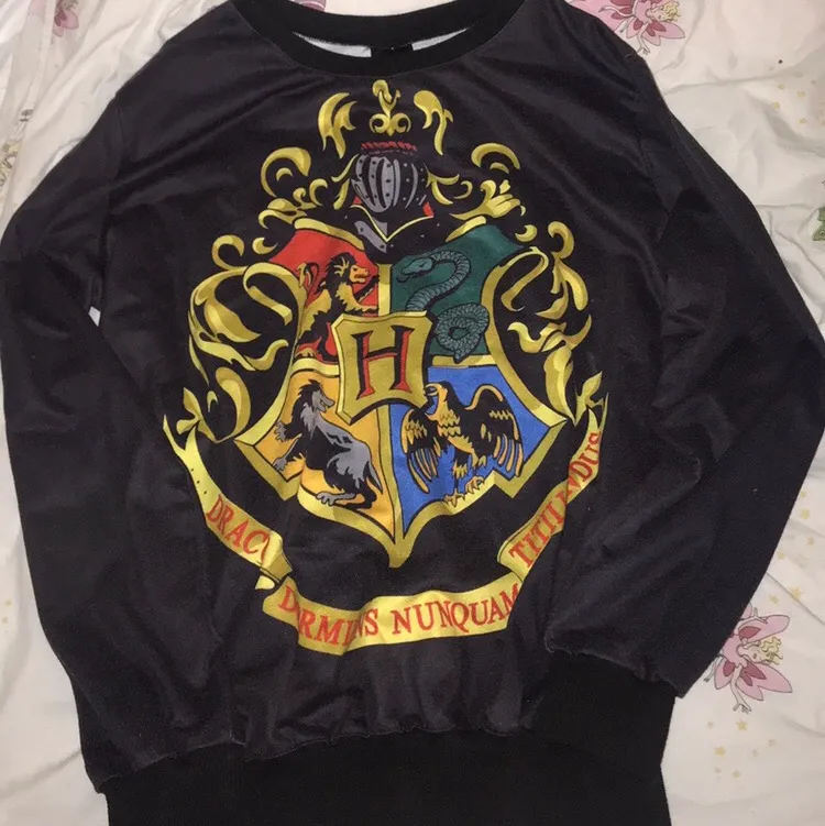 Hogwarts sweatshirt! Använt skick, oklar storlek men typ M. Tröjor & Koftor.