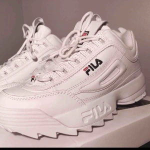  - Finaste skorna som finns. Säljer pga behöver pengar akut😭 köpta på footlocker i Sthlm för en månad sen, använda 3 gånger så helt i nyskick, ej gått in dom. Skoförpackningen följer med. + frakt. Absolut normala i strl