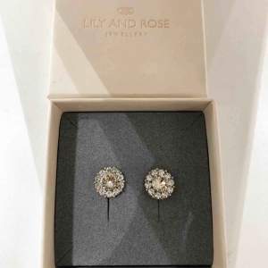 Lily and Rose Miss Sofia earings  