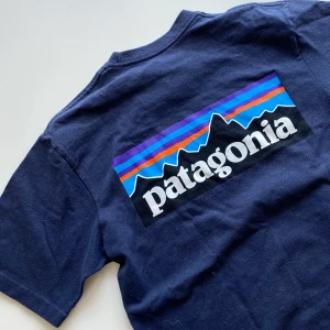 Patagonia tshirt  - En fin tshirt i bra skick.  🚨högsta bud atm är 300kr, buda i kommentarena, frakt ingår ej 🚨