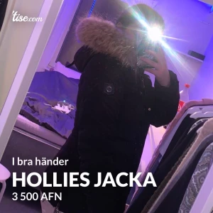 Hollies - Änvänd under 1 vinter den är i goda händer. Kom privat för att diskutera pris