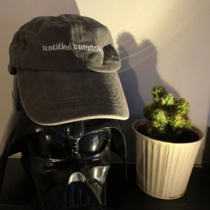  - Kendrick Lamar merch, dad hat