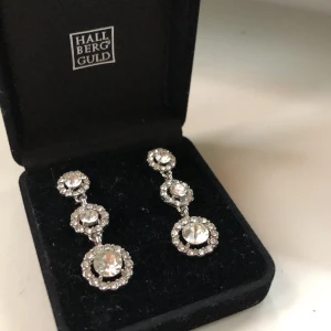 Silvriga örhängen  - Använd 1 gång, silverörhängen från lily&rose 