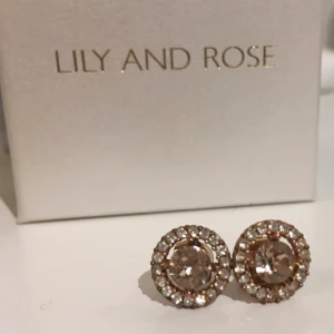 Lily and rose örhängen  - Örhängen från Lily and rose, modell Miss Sofia 