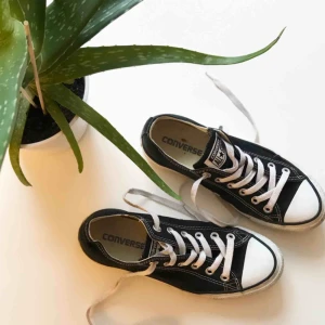  - Låga svarta converse🖤Använda några fåtal gånger - i bra skick! Strl 37🍍Frakt tillkommer🌵 Möts gärna upp i Göteborg!