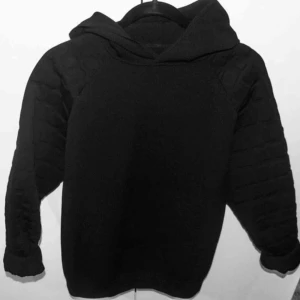 Alexander wang - Storlek:M  Hoodie Alexander Wang från H&M kollektionen  Köpt på herravdelningen men använt 2 gånger som en klänning 