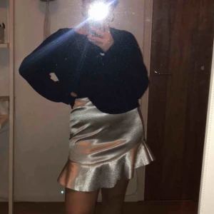  - Silvrig kjol från H&M, använd en gång. 