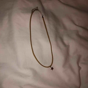 - Choker i läder med guld stjärna. 