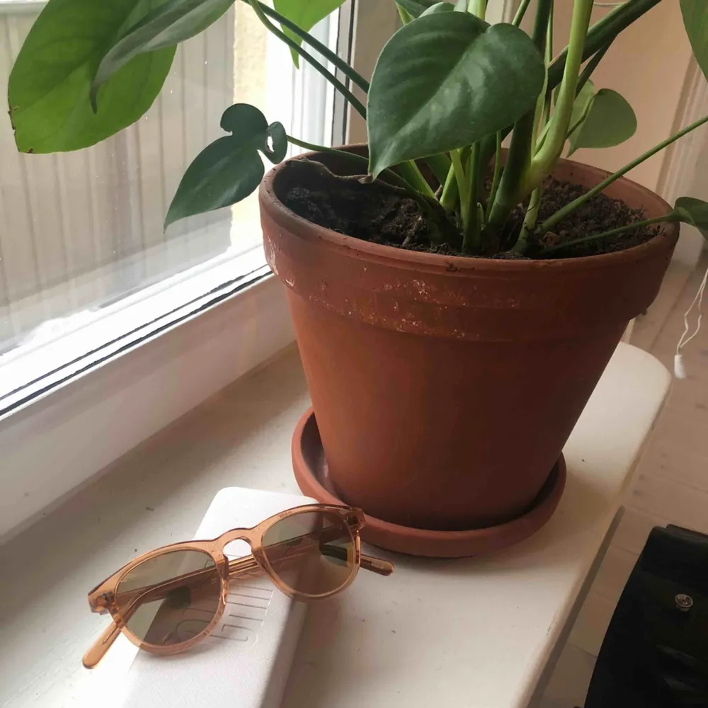 Säljer mina solglasögon från Chimi eyewear, modell #002 Peach då jag inte använder dem ☺️. Accessoarer.