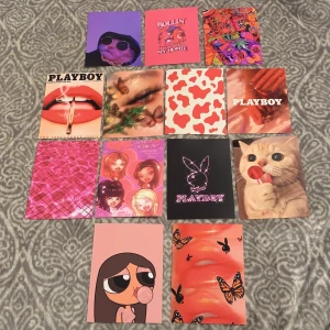 Foton i rosa tema - Sjukt gulliga foton som är styva, glansiga och 11x15 cm stora💖🤩 10kr st 