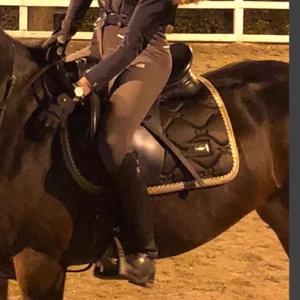 Equestrian Stockholm allround schabrak  - Fint skick, inte använd många gånger.     (originalpris är 700kr)