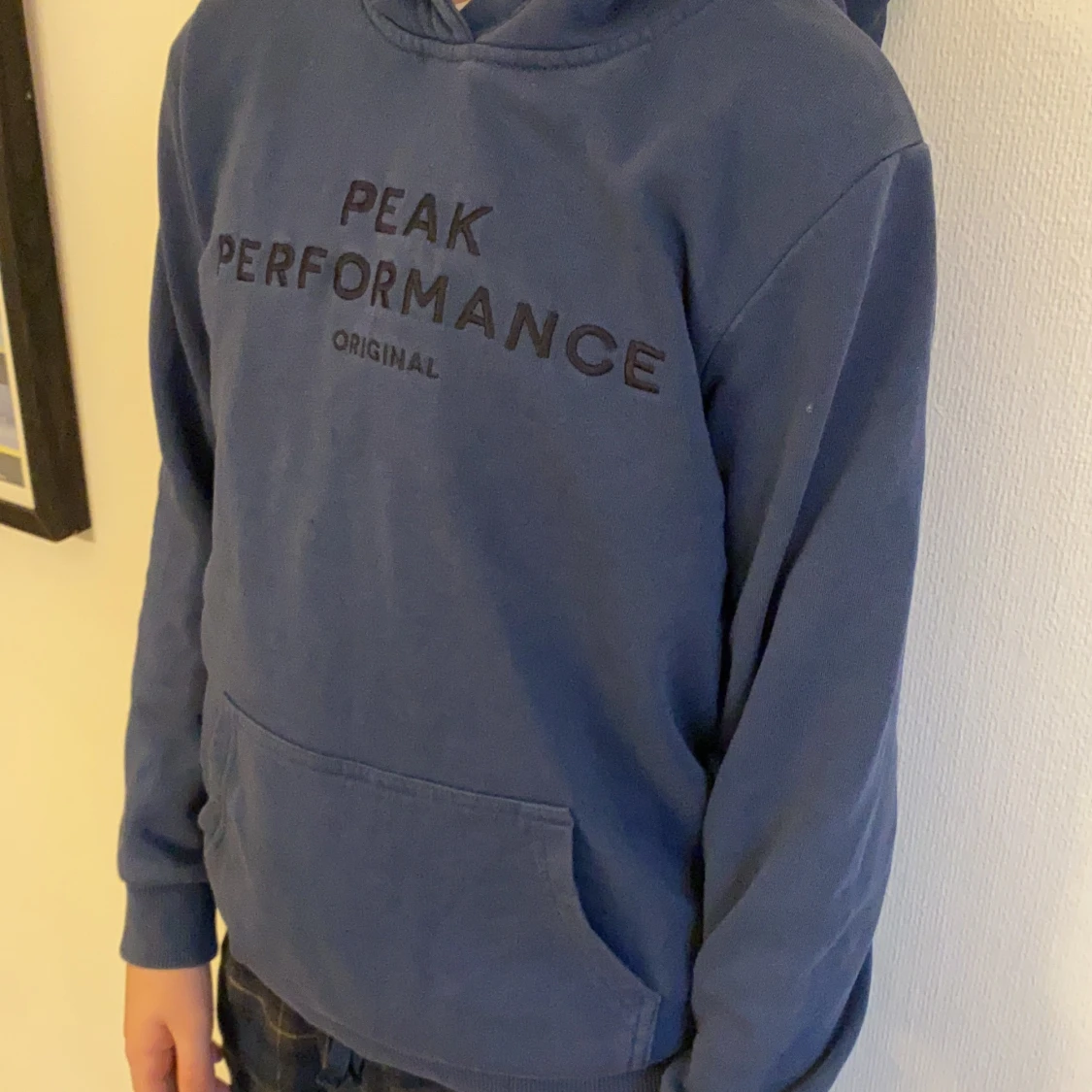 Peak performance hoodie  - 91