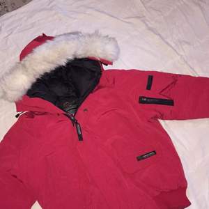 Fin  canada goose jacka st S 