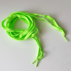  - Neongröna skosnören. Helt nya, aldrig använda så i mycket fint skick. Kan skickas om köparen står för frakten, som då blir 18kr.