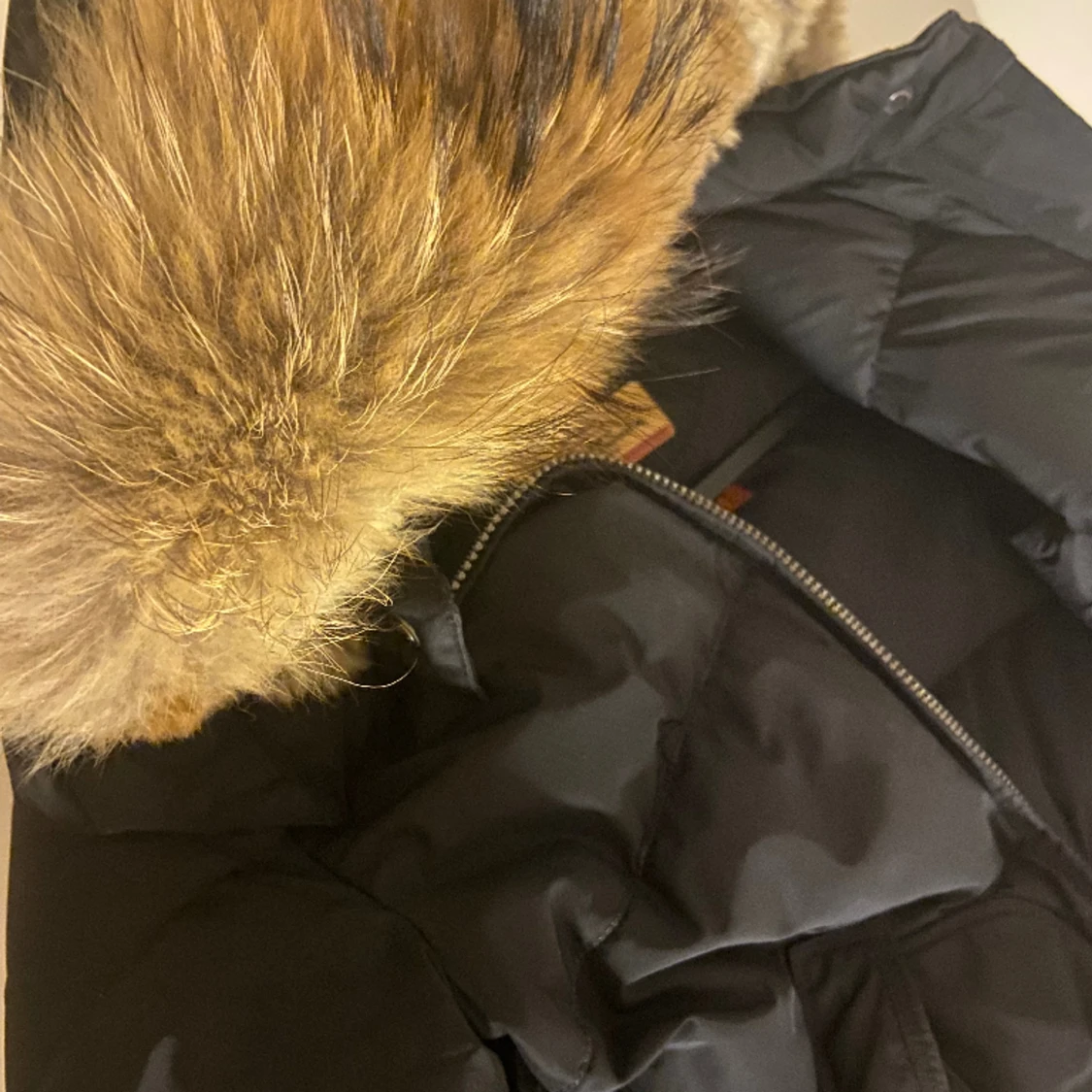 Parajumper Longbear  - 91