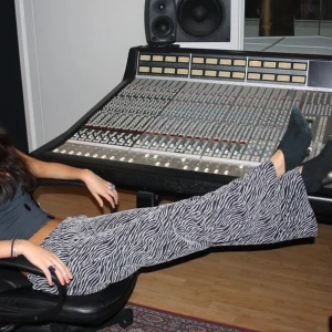 Nomi - Snygga byxor från nomi, använda en gång bara! Köpte för 760kr