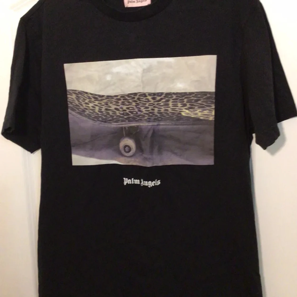 Palm Angels