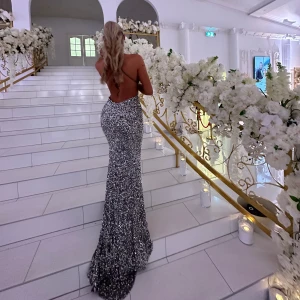 Balklänning/Maxiklänning - Säljer min klänning från Dressroom Linné, det är en storlek 34 och den är använd endast under en kväll så den är helt ny, inköpt 2023. Nypris: 4995 kr Tyget under paljetterna är beige/brunt.