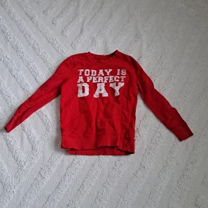 Röd med text där det står today is a perfeckt day - En röd tröja med uppmuntrande text  Och i bra skick.