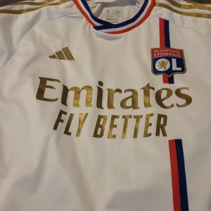 Lyon tröja  - Använd bara 6 gånger 