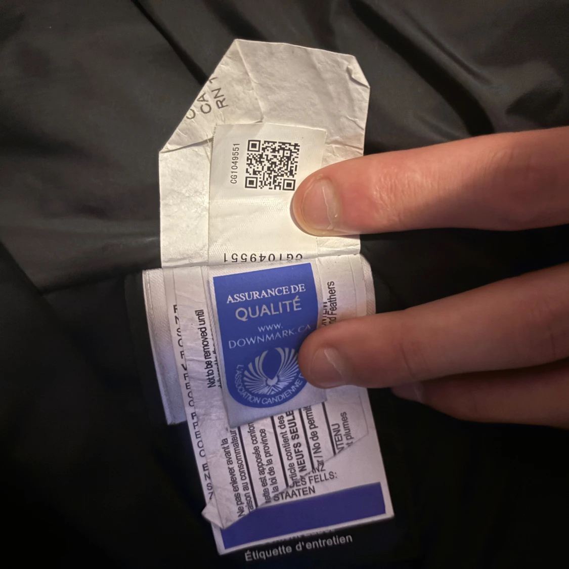 Canasta goose wyndham - 91